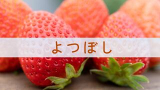 よつぼし～甘み・酸味・風味・見た目、4つに秀でた4つ星級いちご